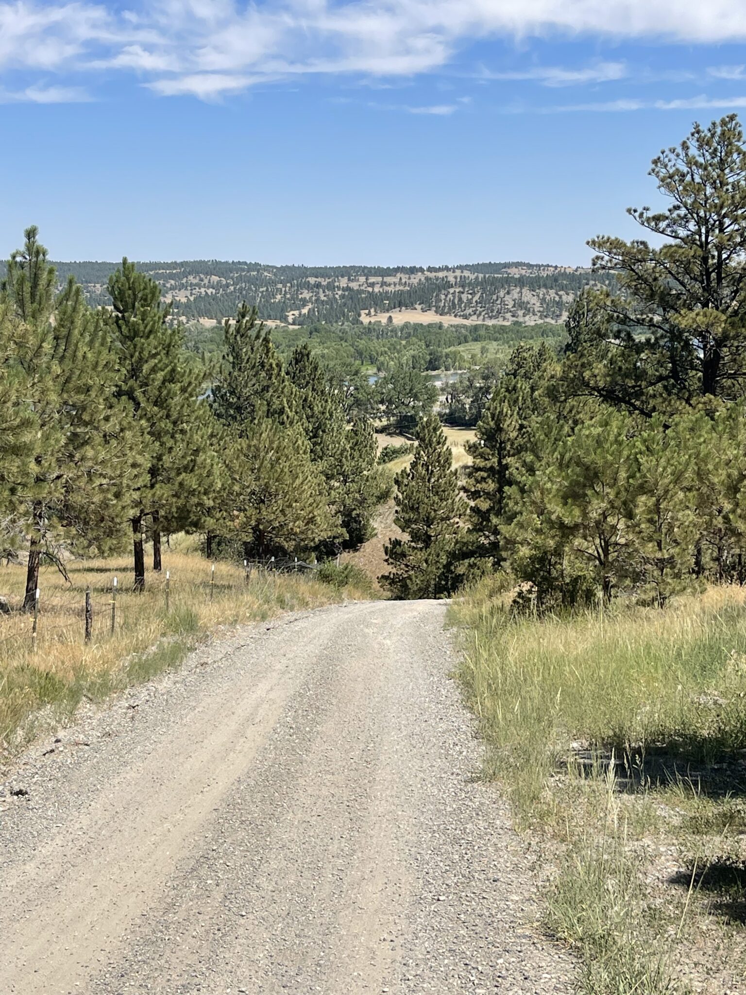 Sonny Todd Real Estate Montana Real Estate Broker