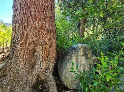212 East Boulder_ (36)