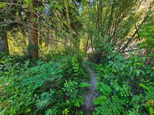 212 East Boulder_ (40)