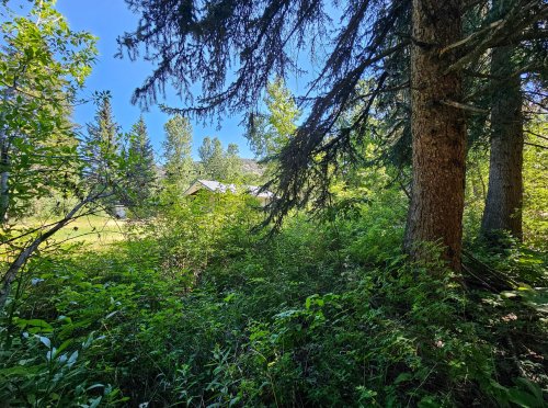 212 East Boulder_ (41)