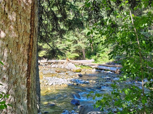212 East Boulder_ (49)