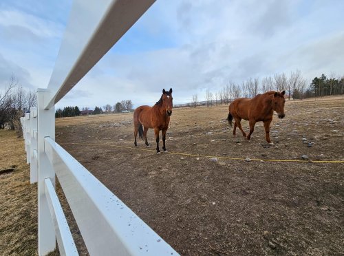 23 Indian Rings_ (68)