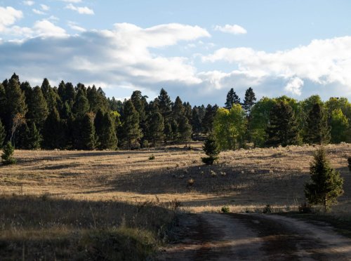 Clark Fork Valley Ranch_ (21)