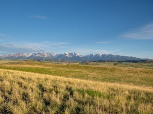 Crazy Mountain Views (8)