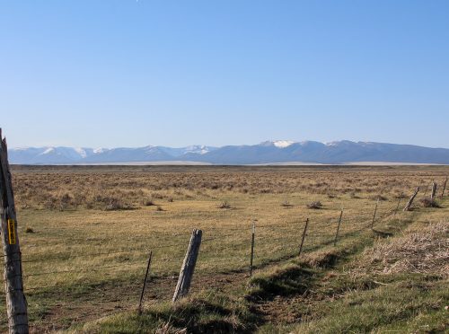 Golden Valley Pasture 03