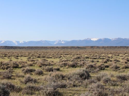 Golden Valley Pasture 04