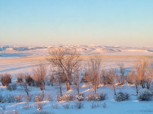Spring Coulee Ranch 01.1