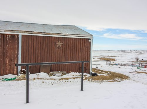 Spring Coulee Ranch 010.2