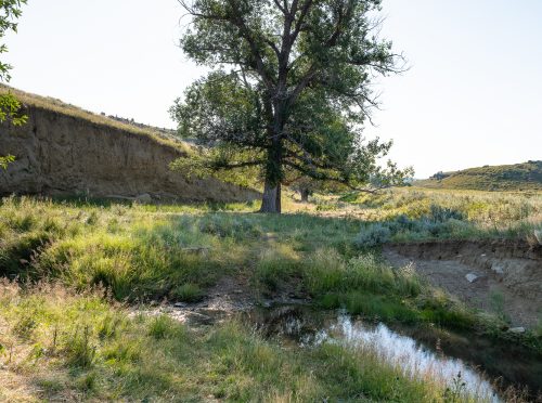 Spring Coulee Ranch 03