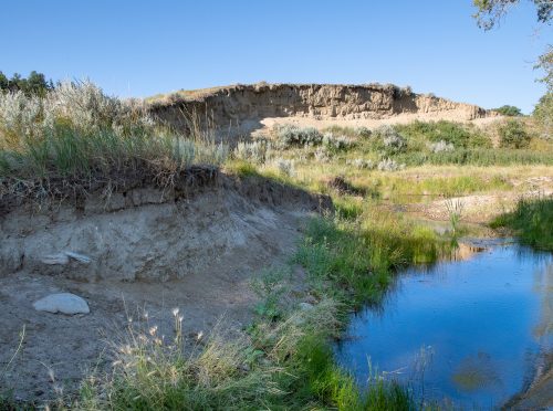 Spring Coulee Ranch 04