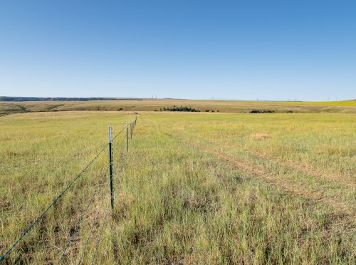 Spring Coulee Ranch 05