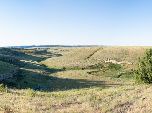Spring Coulee Ranch 07