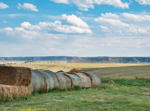 Spring Coulee Ranch 24