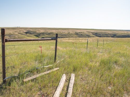 Spring Coulee Ranch 26