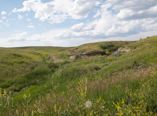 Spring Coulee Ranch 36