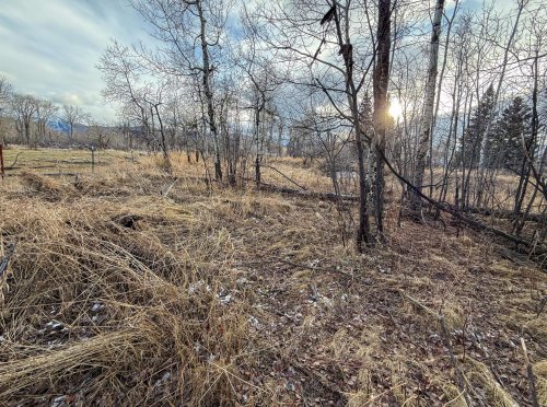 TBD East Boulder Rd_ (10)