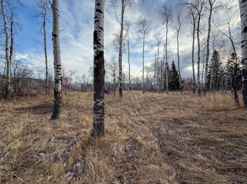 TBD East Boulder Rd_ (7)