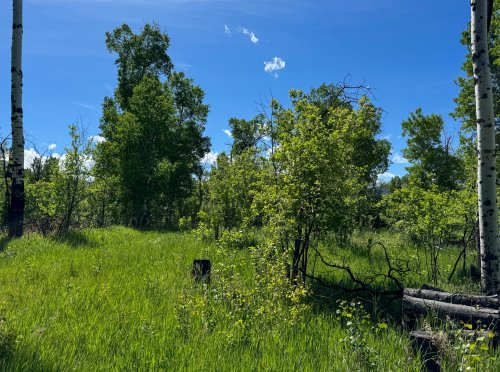 TBD East Boulder_ (26)