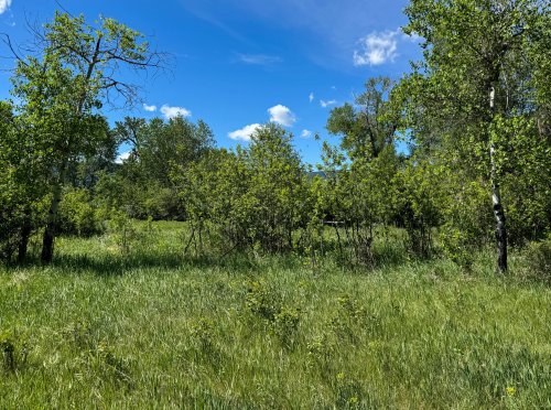 TBD East Boulder_ (28)