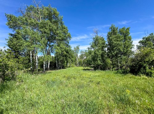TBD East Boulder_ (29)