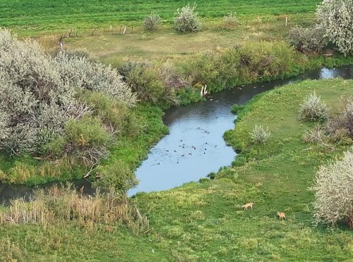 Westervelt Farm on the Yellowstone River (4)